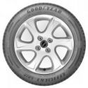 GoodYear EffiGrip PERF